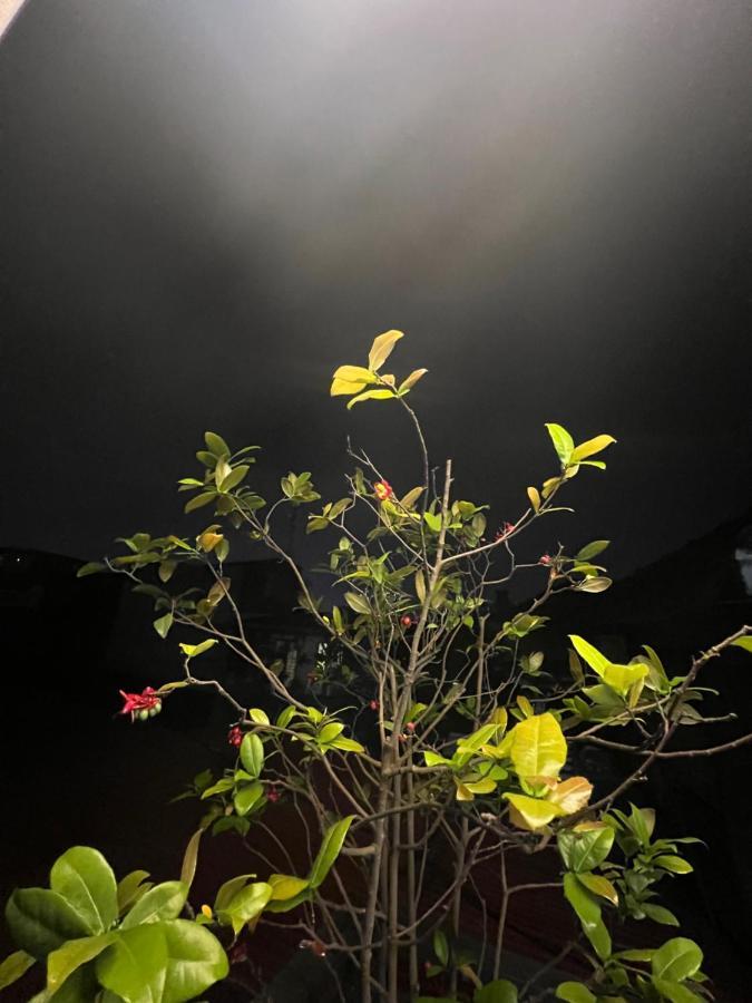 Sunflower Homestay ไฮฟอง ภายนอก รูปภาพ