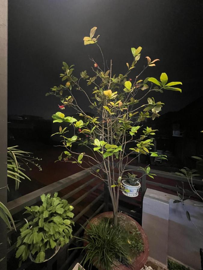 Sunflower Homestay ไฮฟอง ภายนอก รูปภาพ